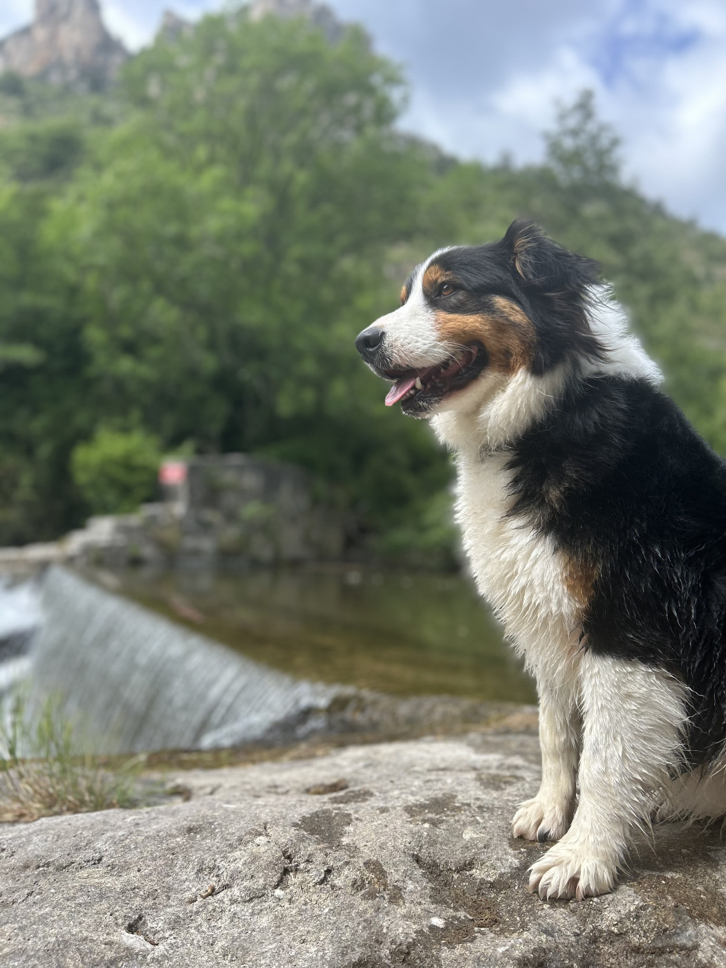 Roxa De La Vallée De Quezacs