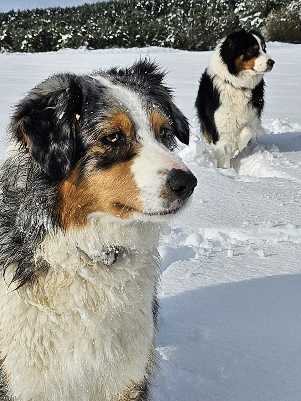 Saina De La Vallée De Quezacs
